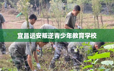 宜昌远安叛逆青少年教育学校