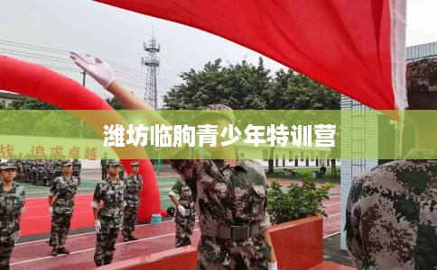 潍坊临朐青少年特训营