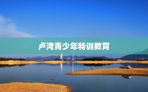 卢湾青少年特训教育