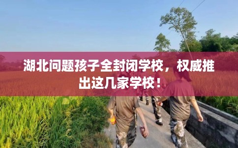 湖北问题孩子全封闭学校，权威推出这几家学校！
