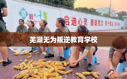 芜湖无为叛逆教育学校