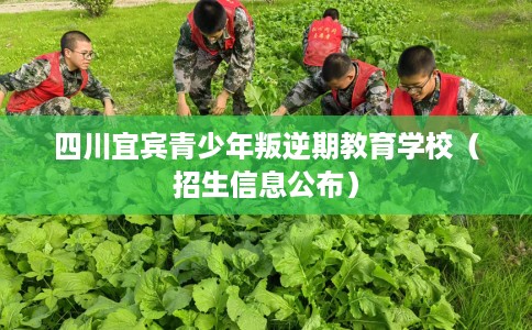 四川宜宾青少年叛逆期教育学校（招生信息公布）