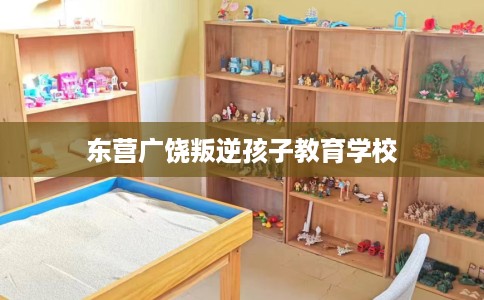 东营广饶叛逆孩子教育学校