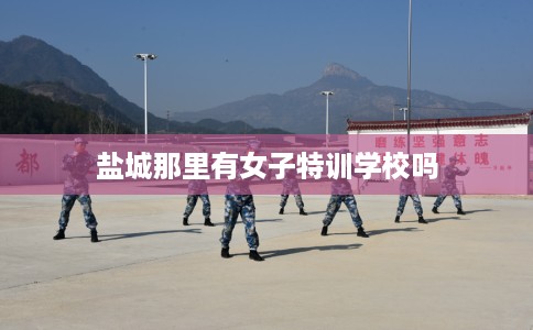 盐城那里有女子特训学校吗