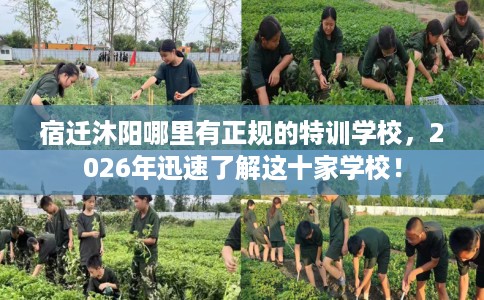 宿迁沐阳哪里有正规的特训学校，2026年迅速了解这十家学校！