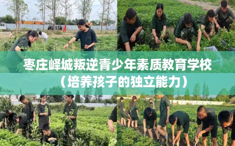 枣庄峄城叛逆青少年素质教育学校（培养孩子的独立能力）