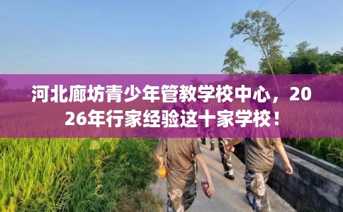 河北廊坊青少年管教学校中心，2026年行家经验这十家学校！