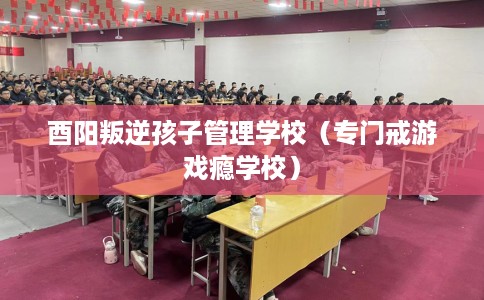 酉阳叛逆孩子管理学校（专门戒游戏瘾学校）