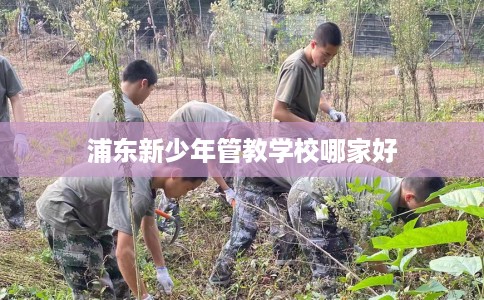 浦东新少年管教学校哪家好