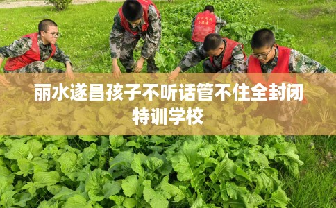 丽水遂昌孩子不听话管不住全封闭特训学校