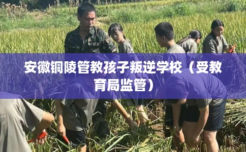 安徽铜陵管教孩子叛逆学校（受教育局监管）