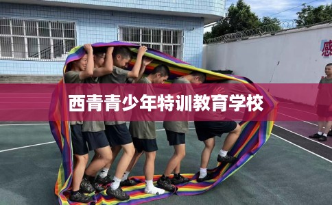 西青青少年特训教育学校