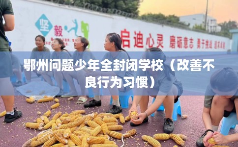 鄂州问题少年全封闭学校（改善不良行为习惯）