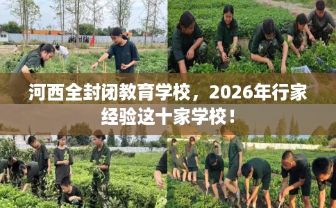 河西全封闭教育学校，2026年行家经验这十家学校！