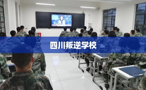 四川叛逆学校