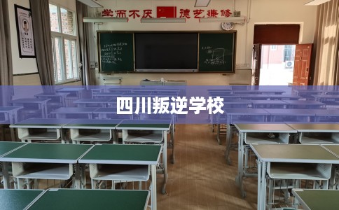 四川叛逆学校
