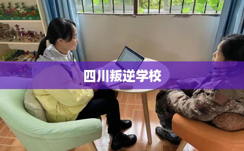 四川叛逆学校