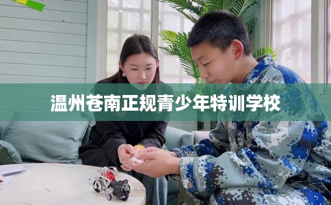 温州苍南正规青少年特训学校