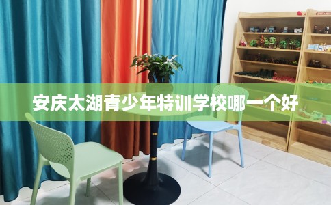 安庆太湖青少年特训学校哪一个好