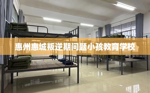 惠州惠城叛逆期问题小孩教育学校
