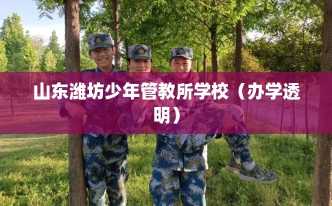 山东潍坊少年管教所学校（办学透明）