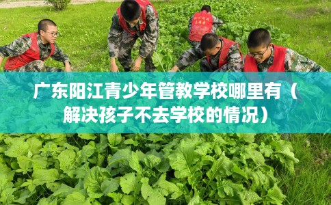 广东阳江青少年管教学校哪里有（解决孩子不去学校的情况）