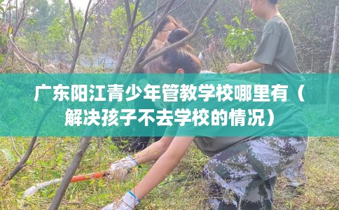 广东阳江青少年管教学校哪里有（解决孩子不去学校的情况）