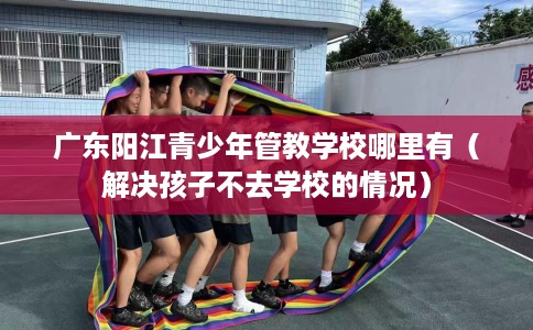 广东阳江青少年管教学校哪里有（解决孩子不去学校的情况）