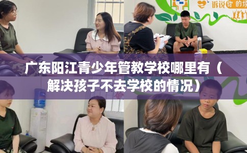 广东阳江青少年管教学校哪里有（解决孩子不去学校的情况）