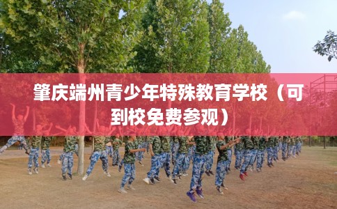 肇庆端州青少年特殊教育学校（可到校免费参观）