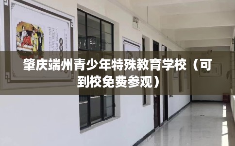肇庆端州青少年特殊教育学校（可到校免费参观）