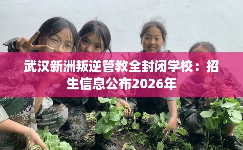 武汉新洲叛逆管教全封闭学校：招生信息公布2026年