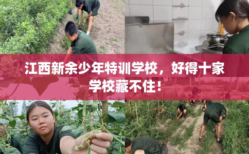 江西新余少年特训学校，好得十家学校藏不住！