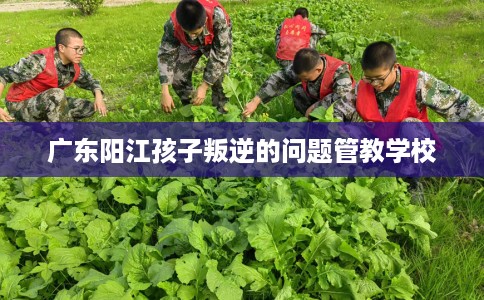 广东阳江孩子叛逆的问题管教学校