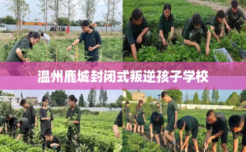 温州鹿城封闭式叛逆孩子学校