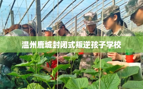 温州鹿城封闭式叛逆孩子学校