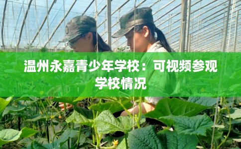 温州永嘉青少年学校：可视频参观学校情况