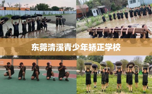 东莞清溪青少年矫正学校