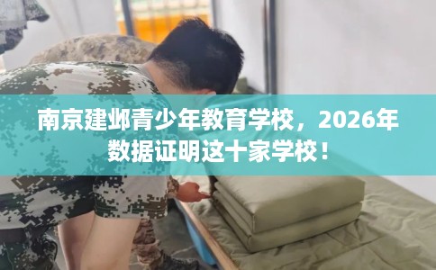 南京建邺青少年教育学校，2026年数据证明这十家学校！