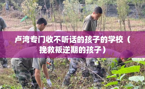 卢湾专门收不听话的孩子的学校（挽救叛逆期的孩子）