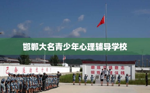 邯郸大名青少年心理辅导学校