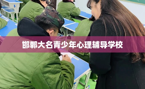 邯郸大名青少年心理辅导学校