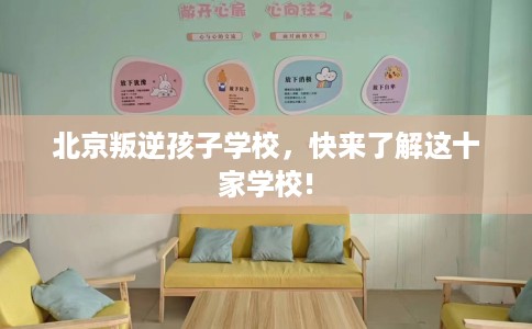 北京叛逆孩子学校，快来了解这十家学校!