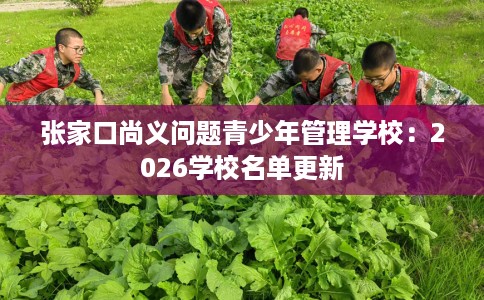 张家口尚义问题青少年管理学校：2026学校名单更新