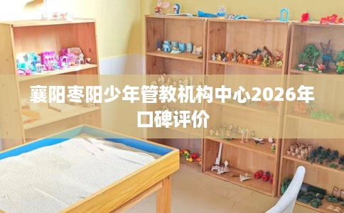 襄阳枣阳少年管教机构中心2026年口碑评价