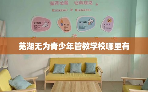 芜湖无为青少年管教学校哪里有