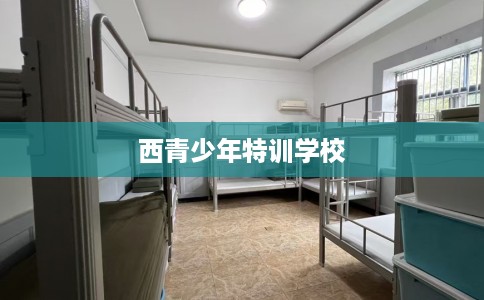 西青少年特训学校