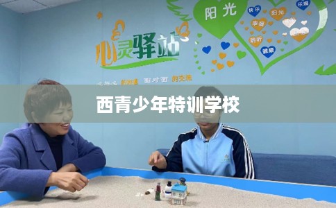 西青少年特训学校