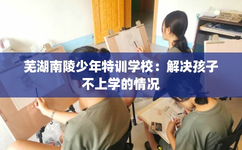 芜湖南陵少年特训学校：解决孩子不上学的情况