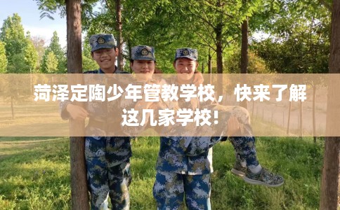 菏泽定陶少年管教学校，快来了解这几家学校!